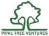 Pipal Tree Ventures-logo